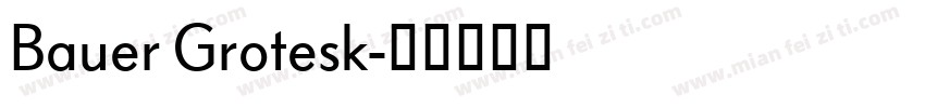 Bauer Grotesk字体转换